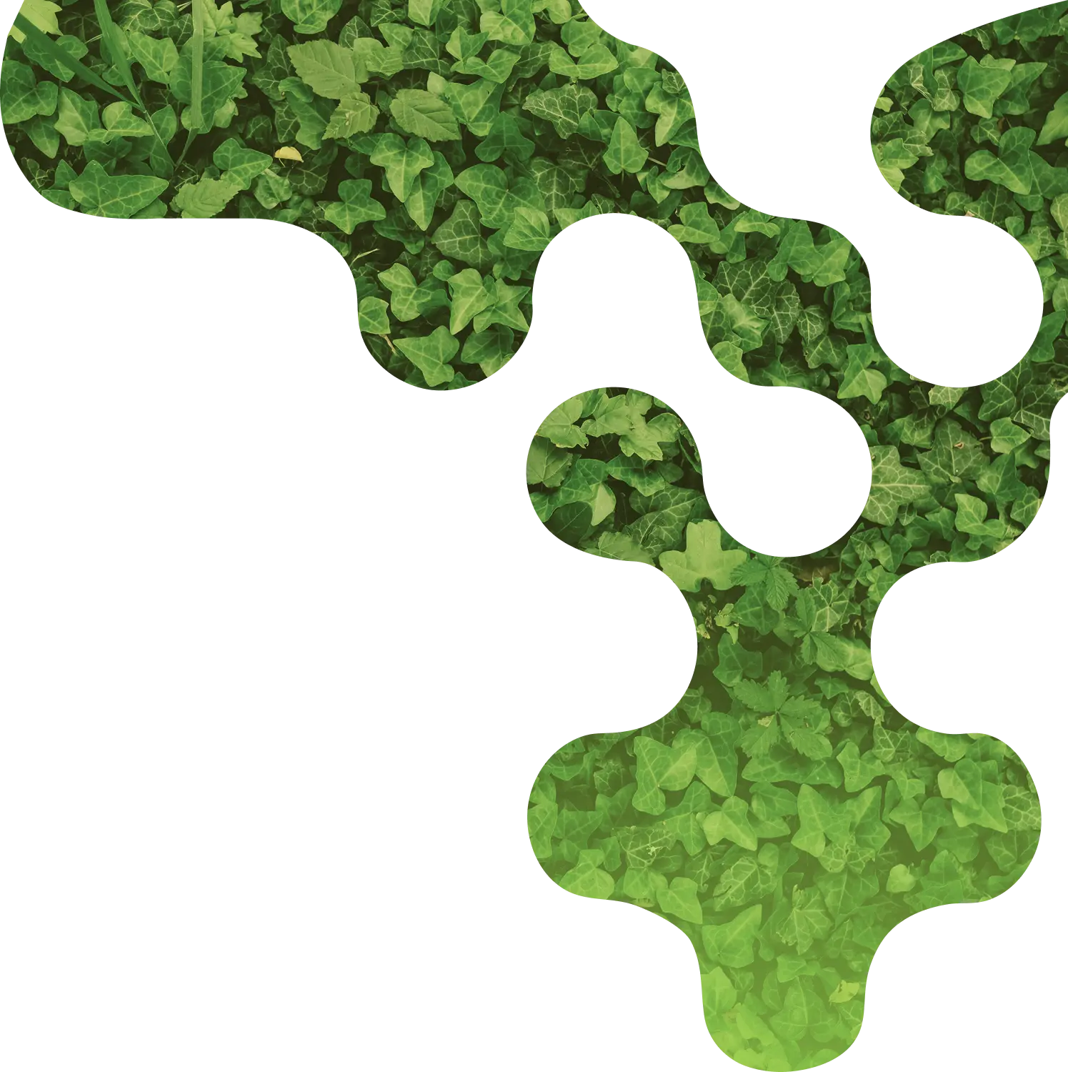 Green shape with leaves